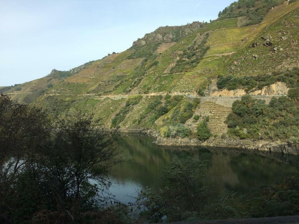 Acogedor Apartamento Ribeira Sacra Монфорте де Лемос Екстериор снимка