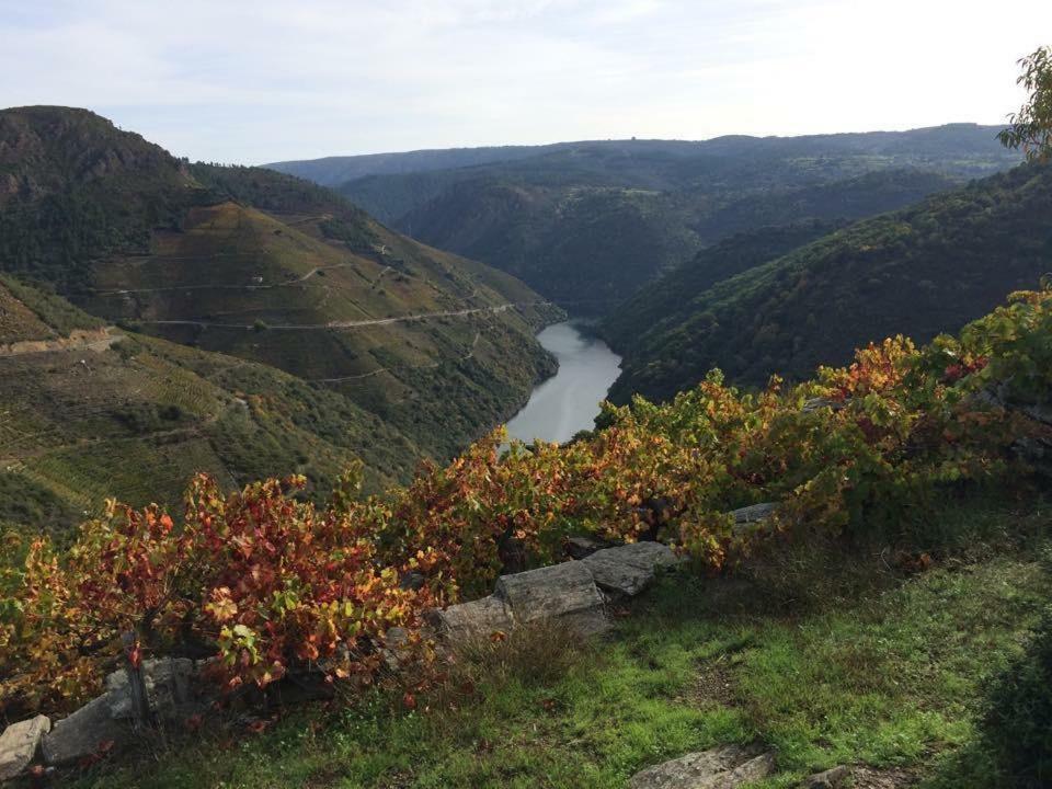 Acogedor Apartamento Ribeira Sacra Монфорте де Лемос Екстериор снимка